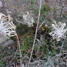 basketry snowflake 15.155,57,59